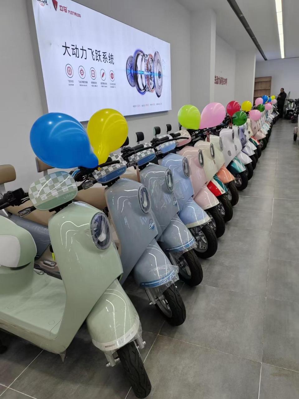 大国品牌立马电动车曙光街店3月6号盛大开业,来就送,买就送!