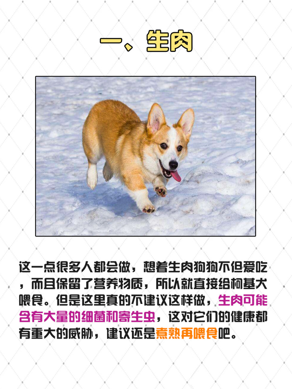 你喂过几种7215 柯基犬是非常可爱温顺的狗狗,如果养了这种狗狗