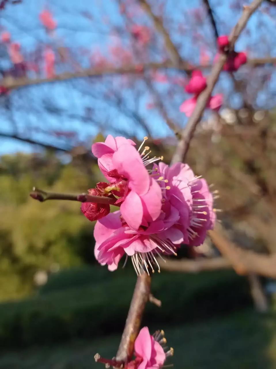 你每天起早貪黑,忙忙碌碌是為了什麼?