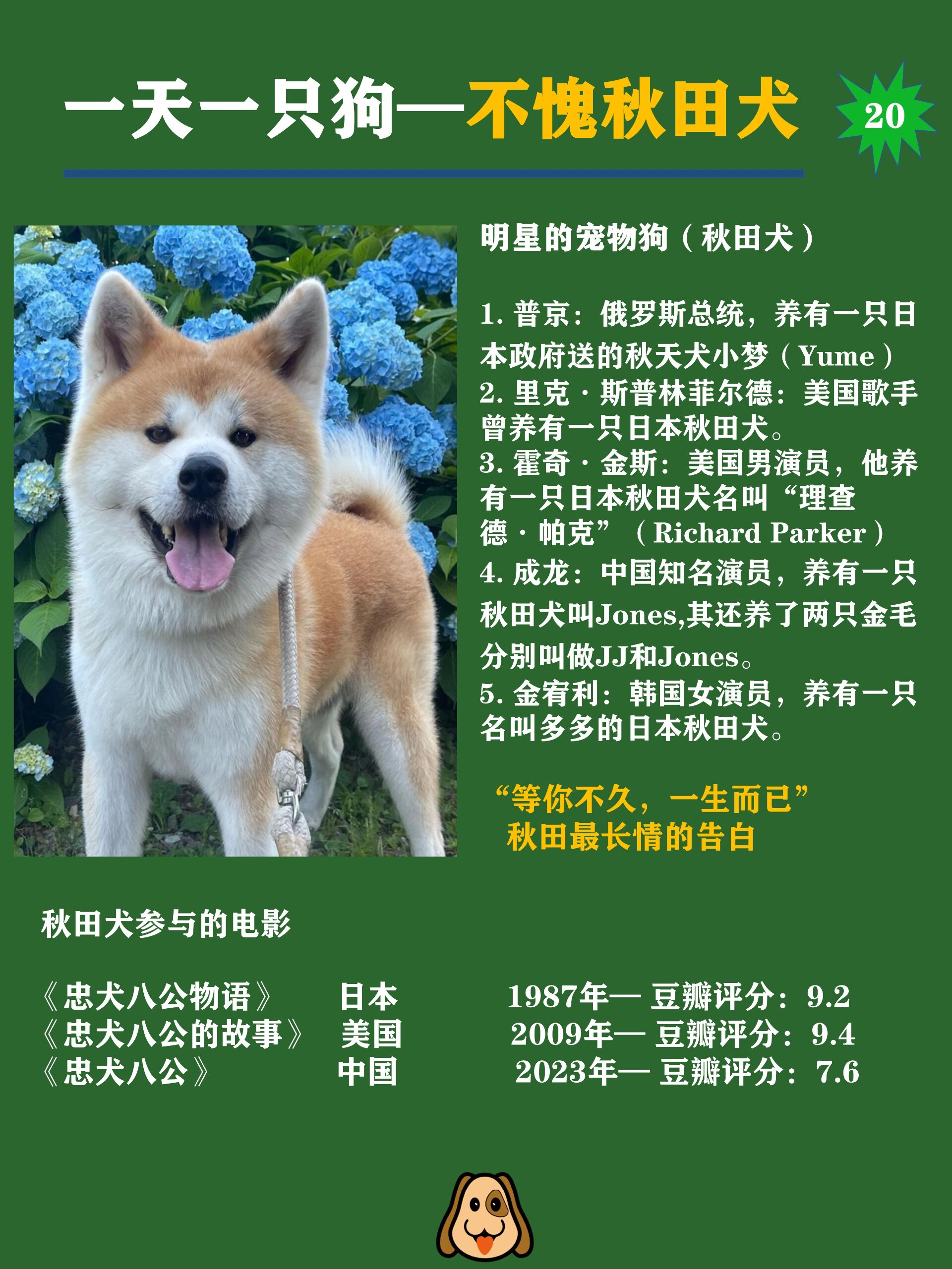 日本秋田犬多少钱图片