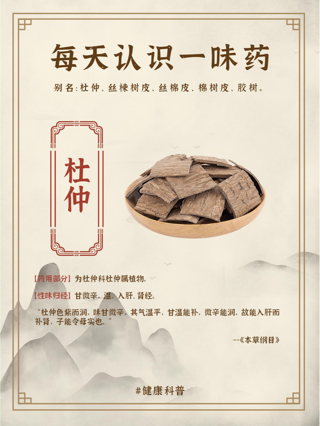 杜仲的功效与作用主治图片