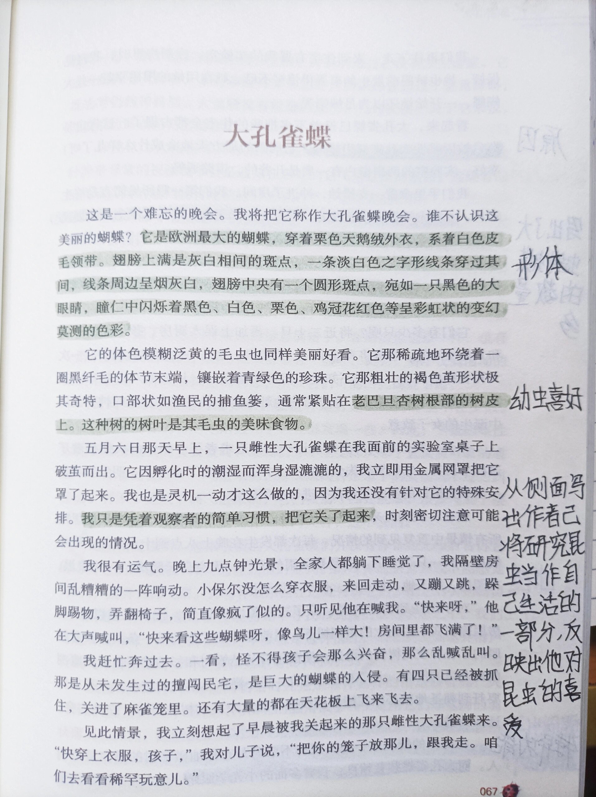 《昆虫记》大孔雀蝶