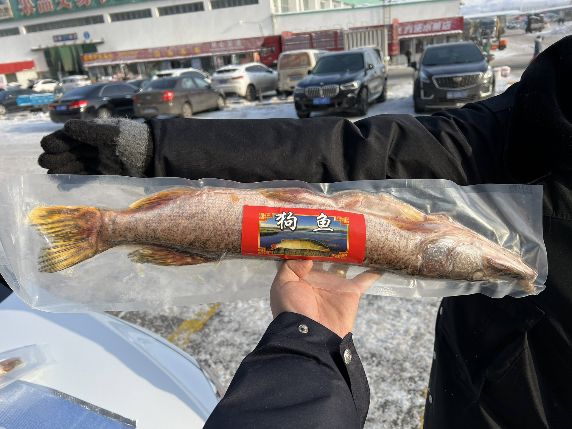 新疆阿勒泰福海野生冷水鱼大礼盒97 5公斤礼盒,野生冷水鱼 每种鱼都