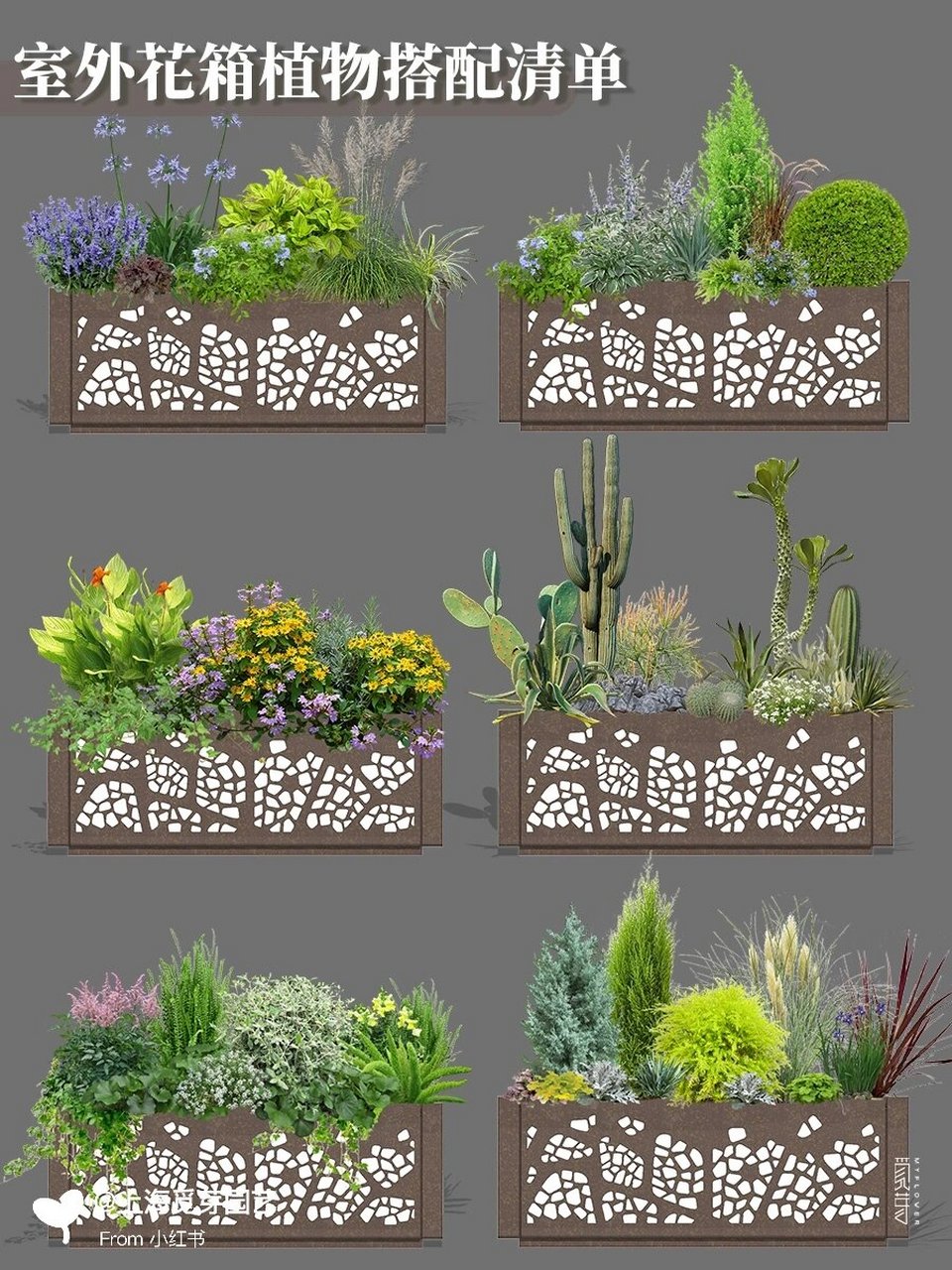 室外花箱植物搭配清单,让店铺氛围感up!