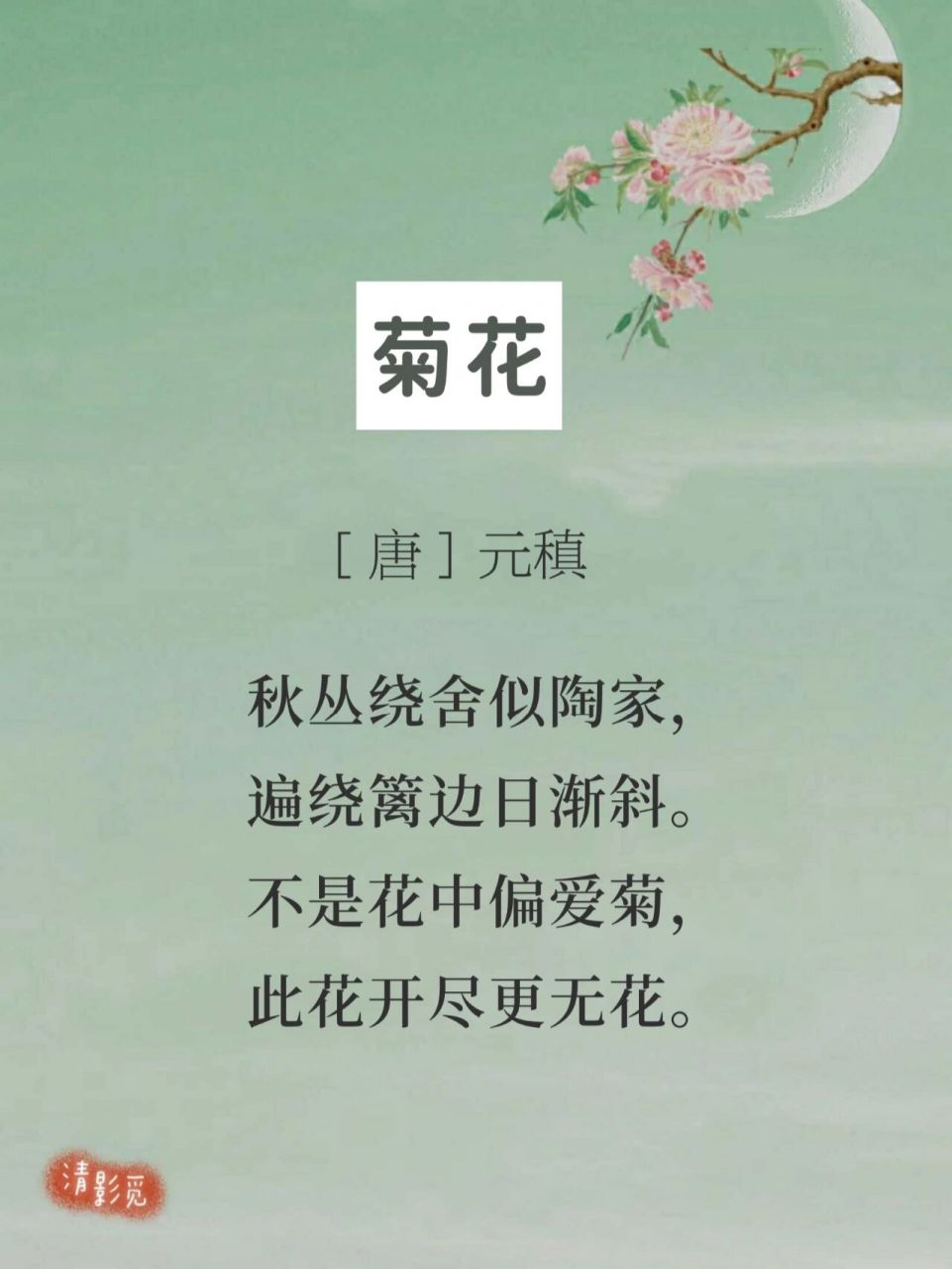 每日诗词199|元稹《菊花》 —— 94【注释】 秋丛:指丛丛秋菊.