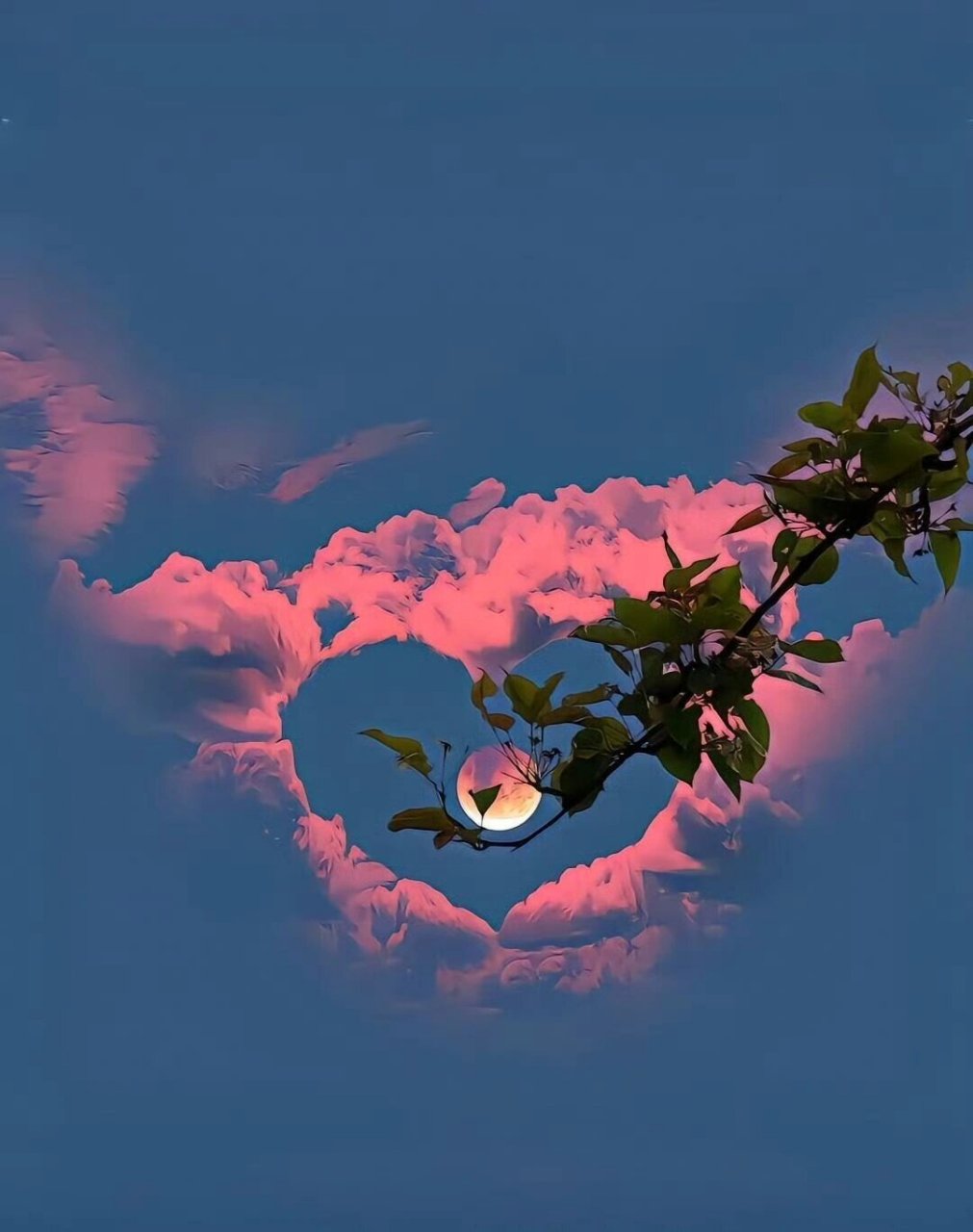 超好看的朋友圈背景图 又到了换背景墙的时间啦