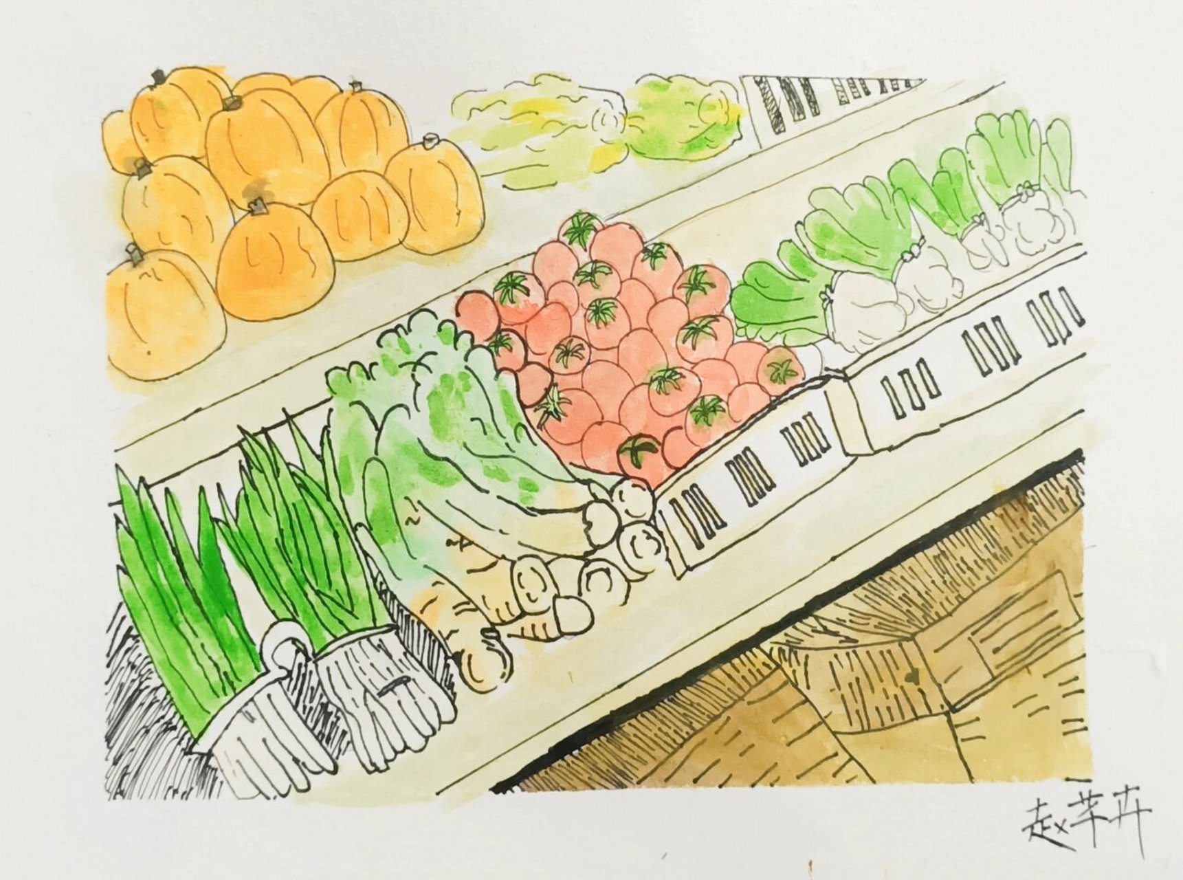 钢笔淡彩——菜市场 9-12岁儿童画