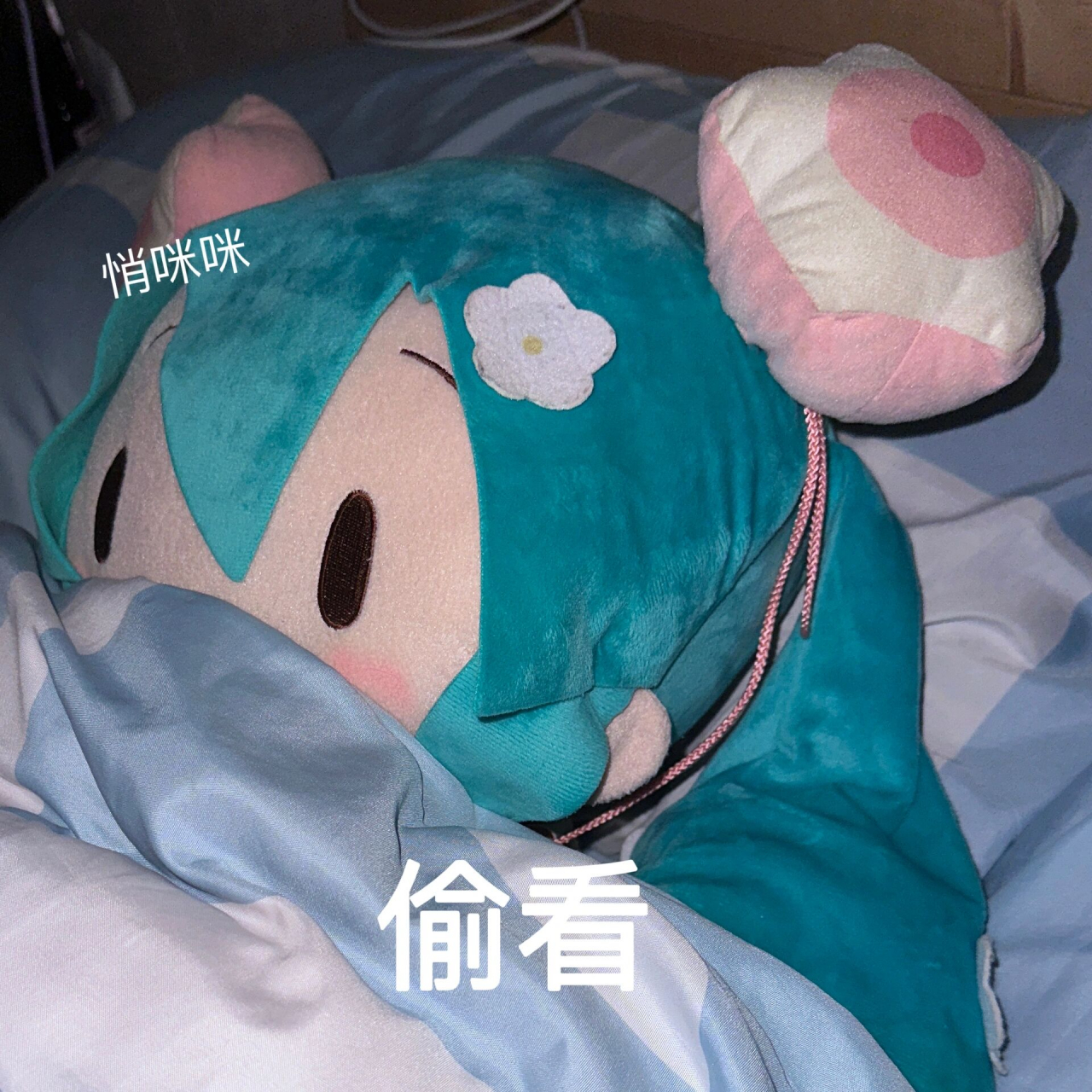 花花在跟你说晚安啦(自制fufu表情包) 是你在偷看花花咩