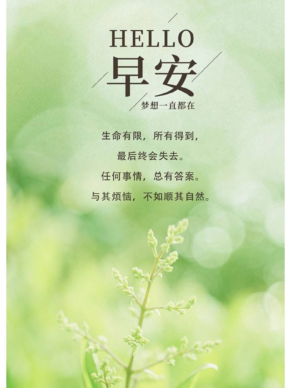 正能量的句子经典语句朋友圈的句子(正能量的句子经典语句发朋友圈)