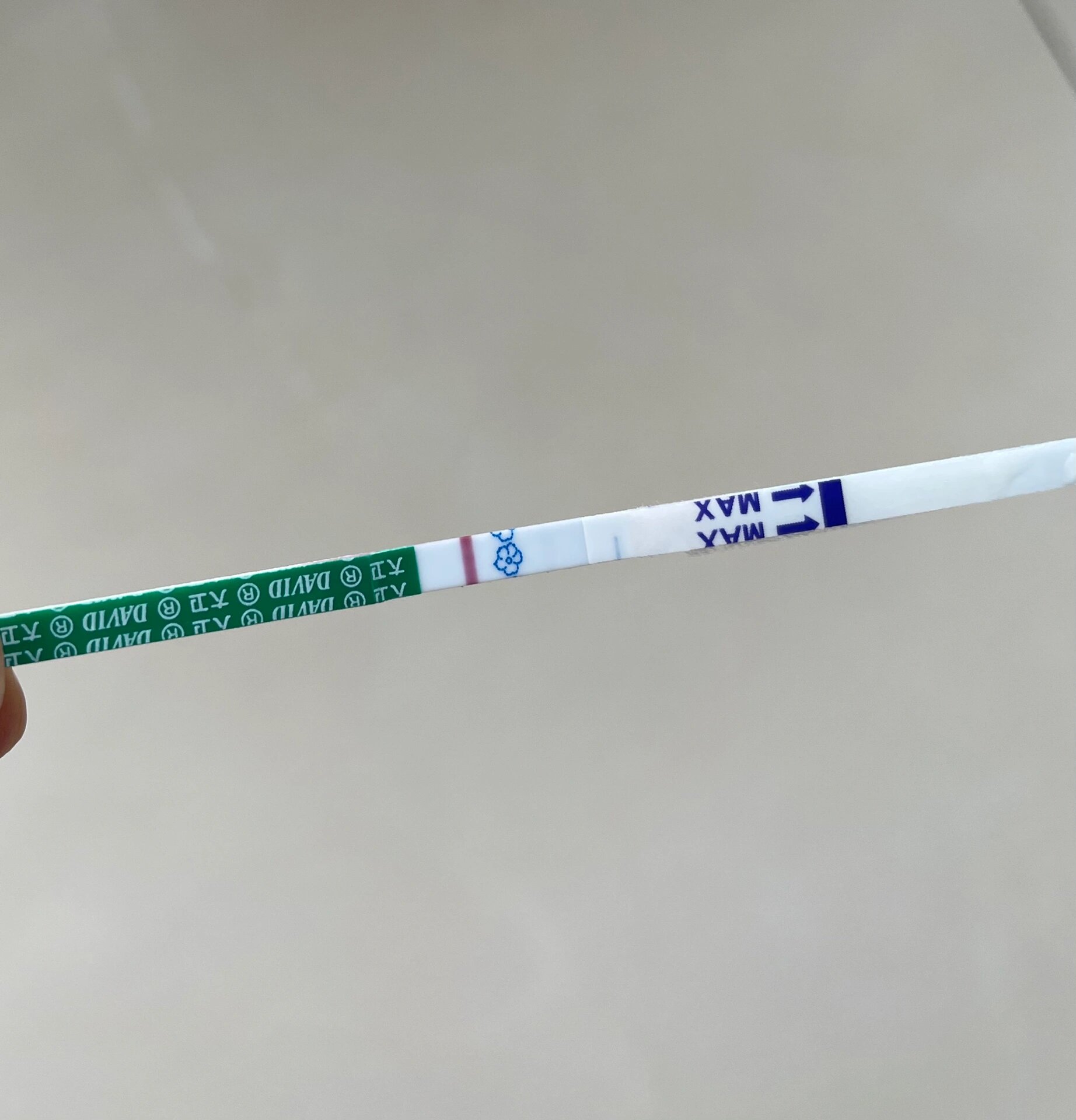 大卫试纸测试 3月31日排卵,希望不是我的意念灰