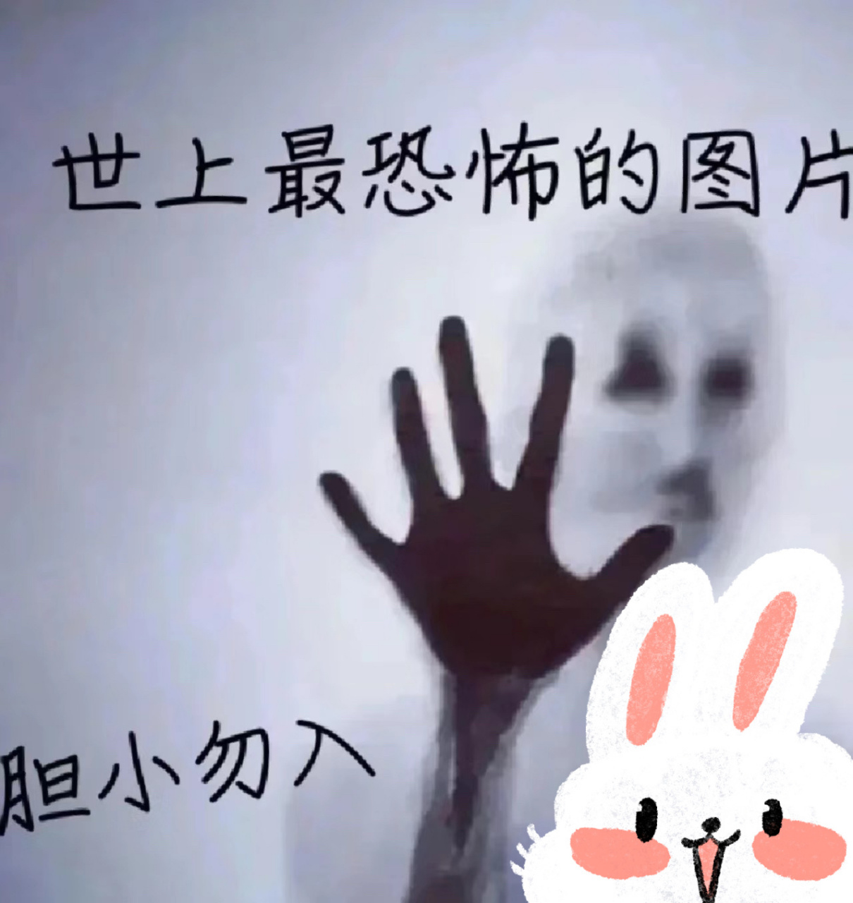 恐怖图片7215胆小勿入      非原创 作者