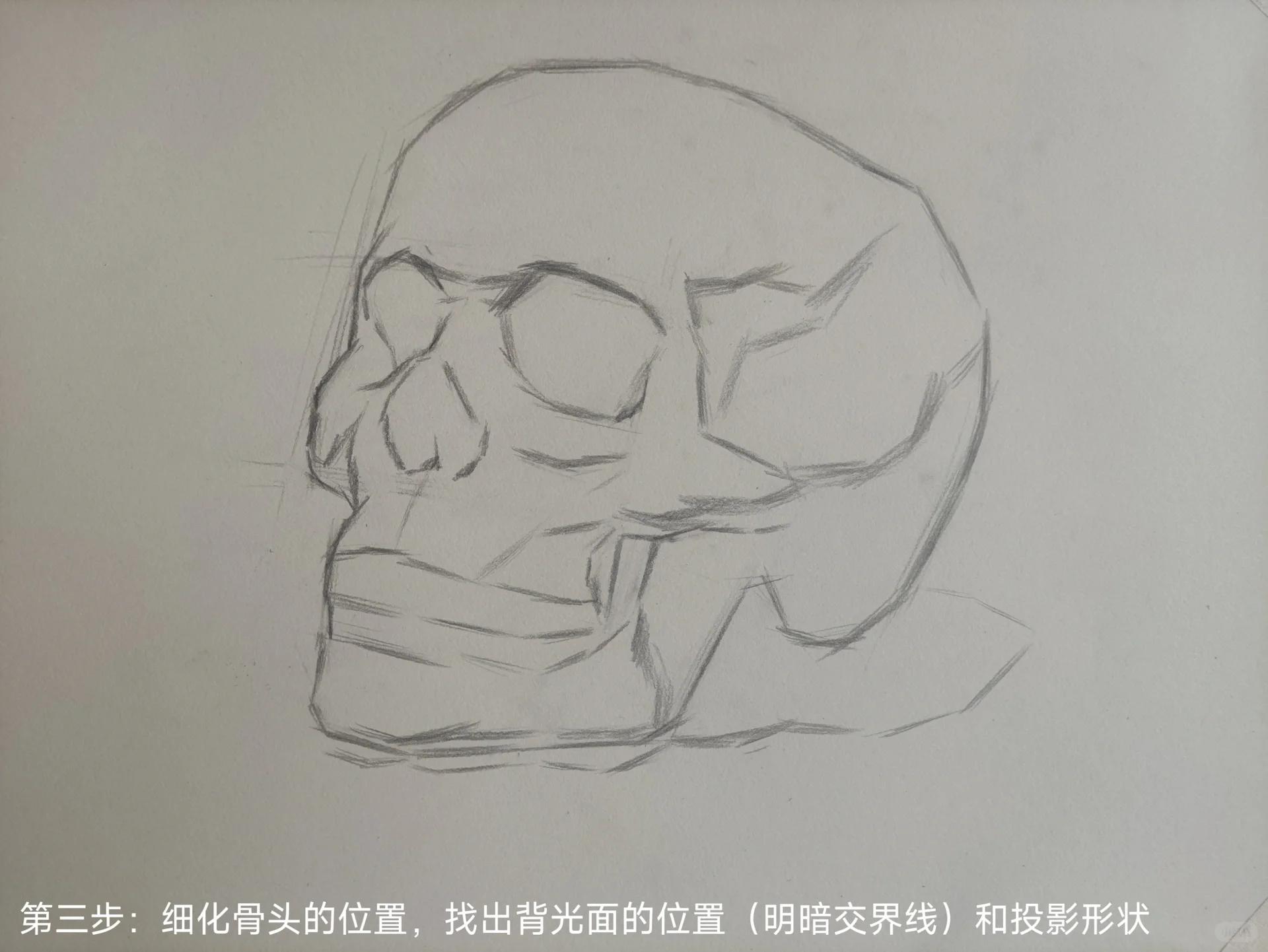 白艺术素描小课堂之人头骨的画法