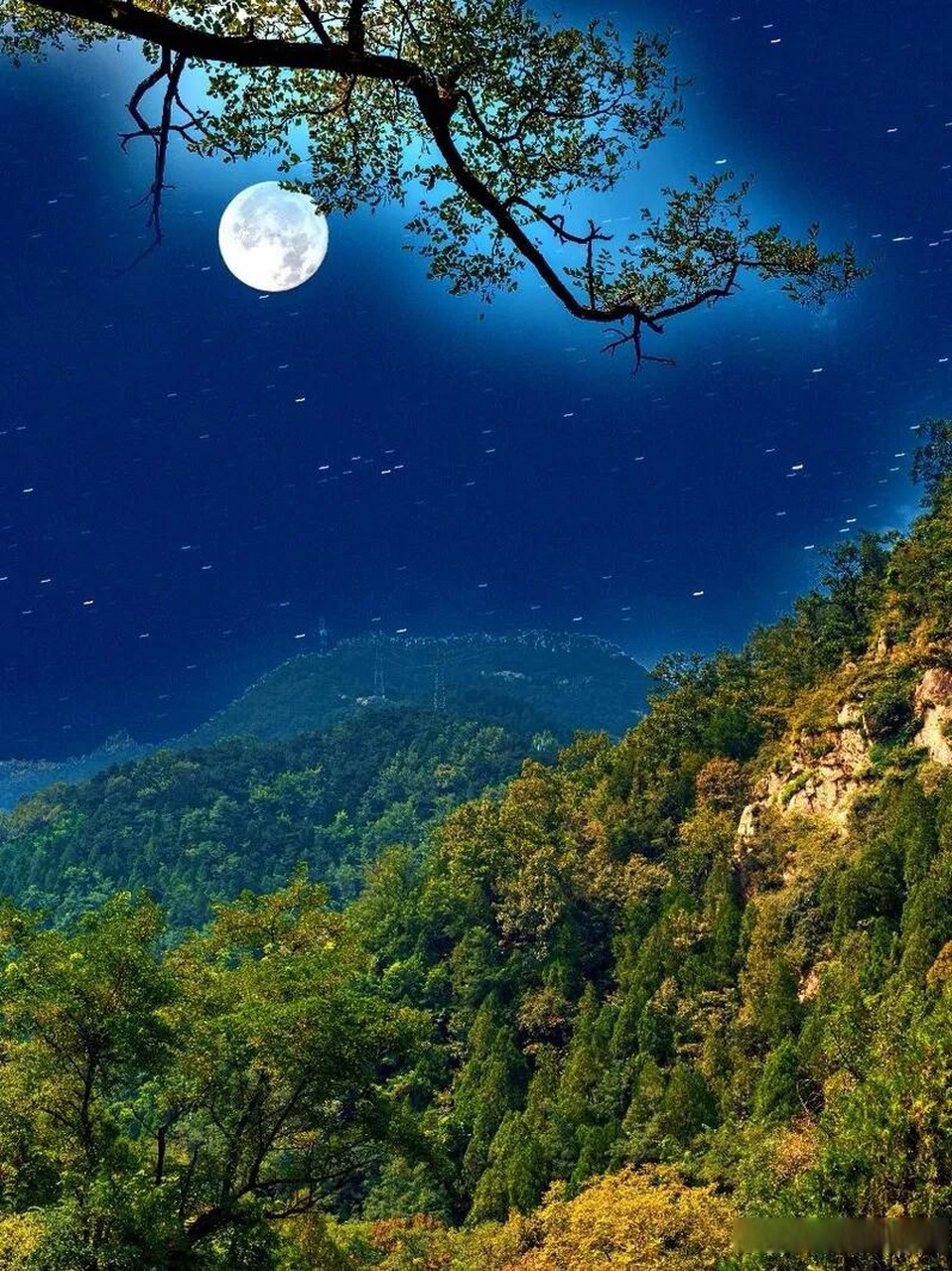 上联:茶香袅袅清心肺;请君对下联  我的下联:明月皎皎照河山.