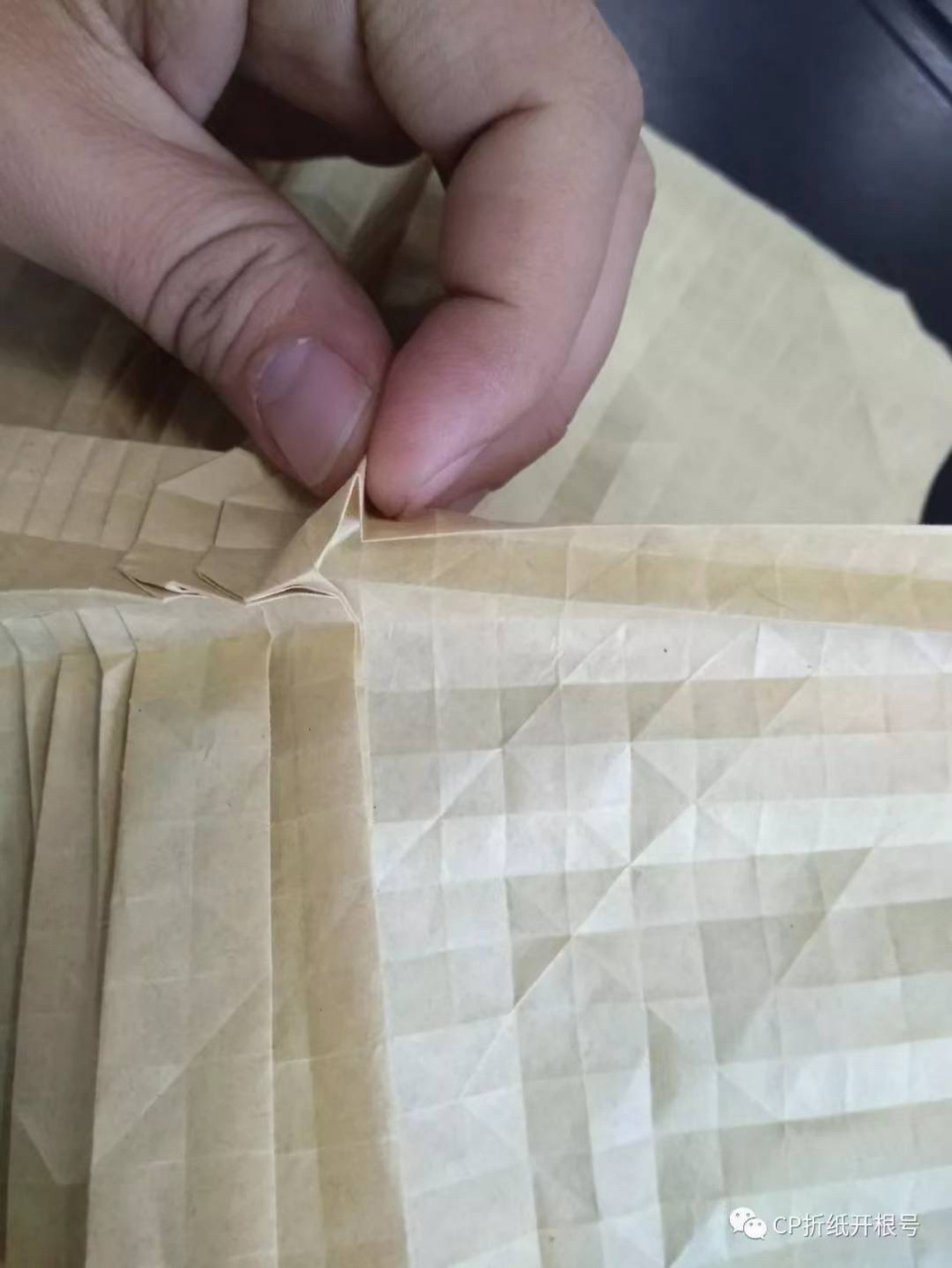 cp折纸开根号 高山 蝉cp的解读3