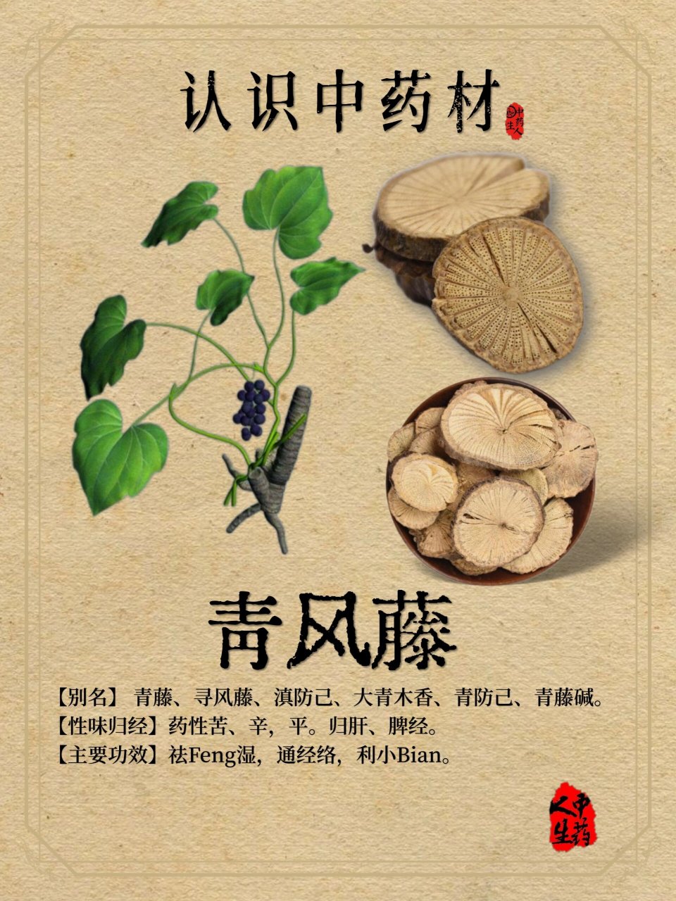 中药材—【青风藤】 91【中药名】青风藤 91【产地】分布于华北