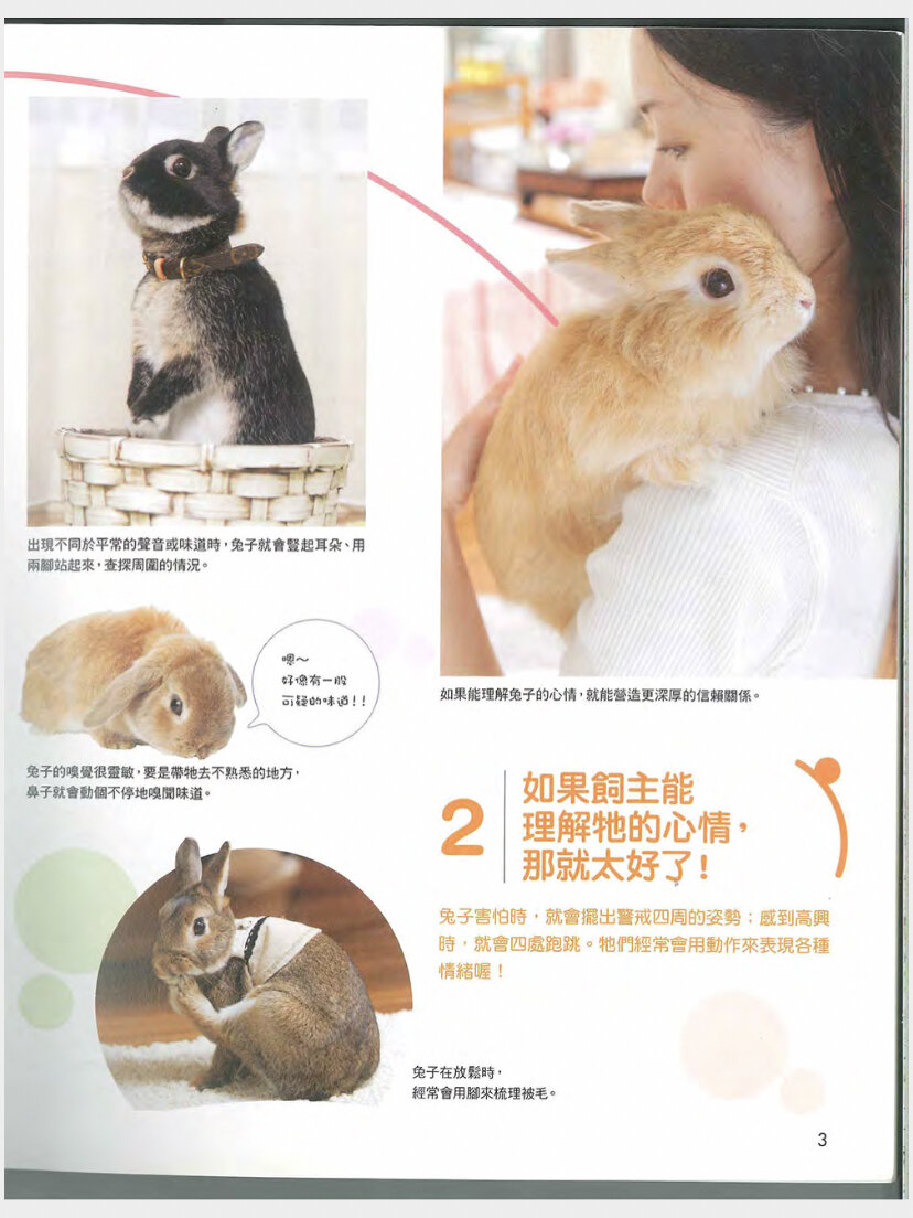 「新手养兔」和兔兔一起快乐生活的六大秘诀