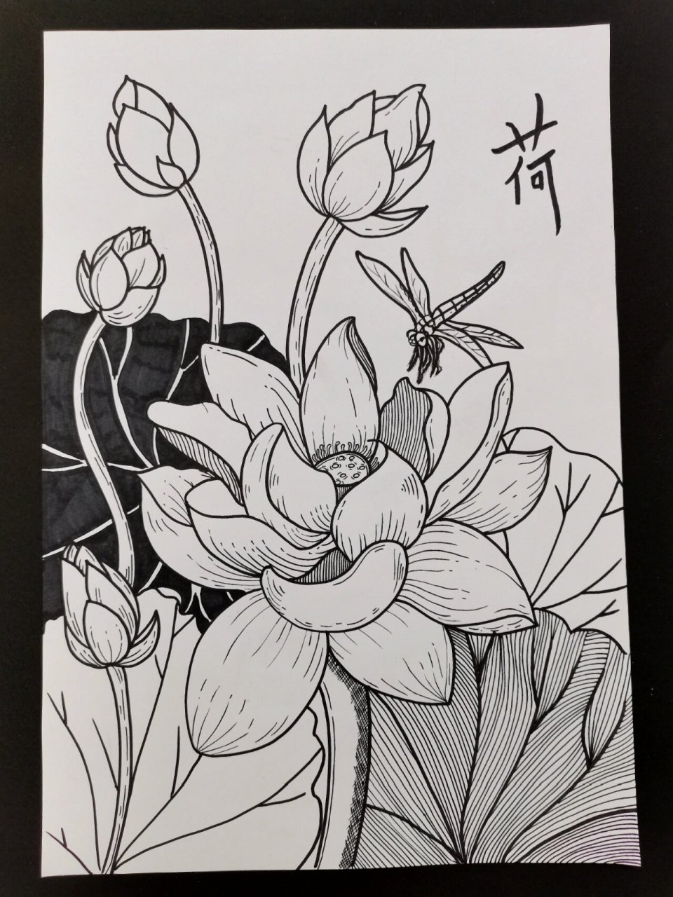 黑白线描装饰画《荷花》