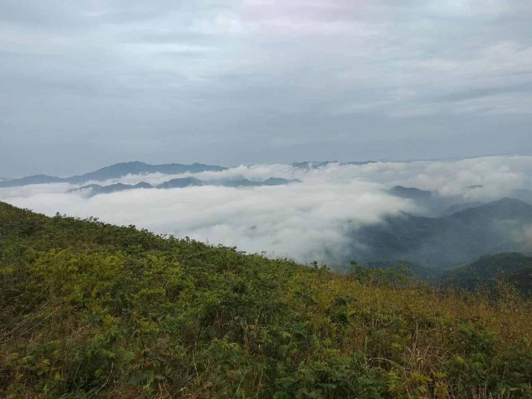 修水金龙山图片