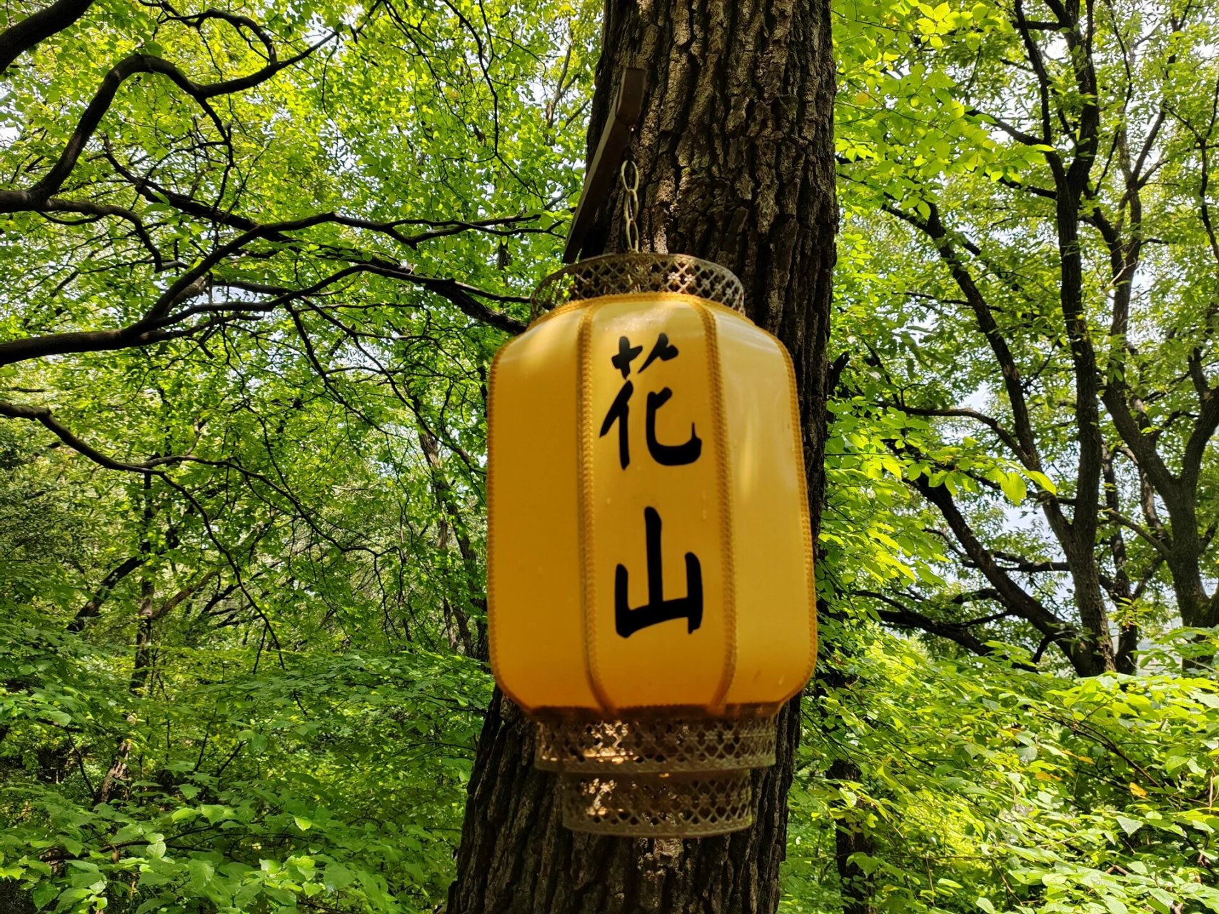 花山,这是一个被苏州人遗忘的地方 在苏州爬了那么多山,竟然遗漏了