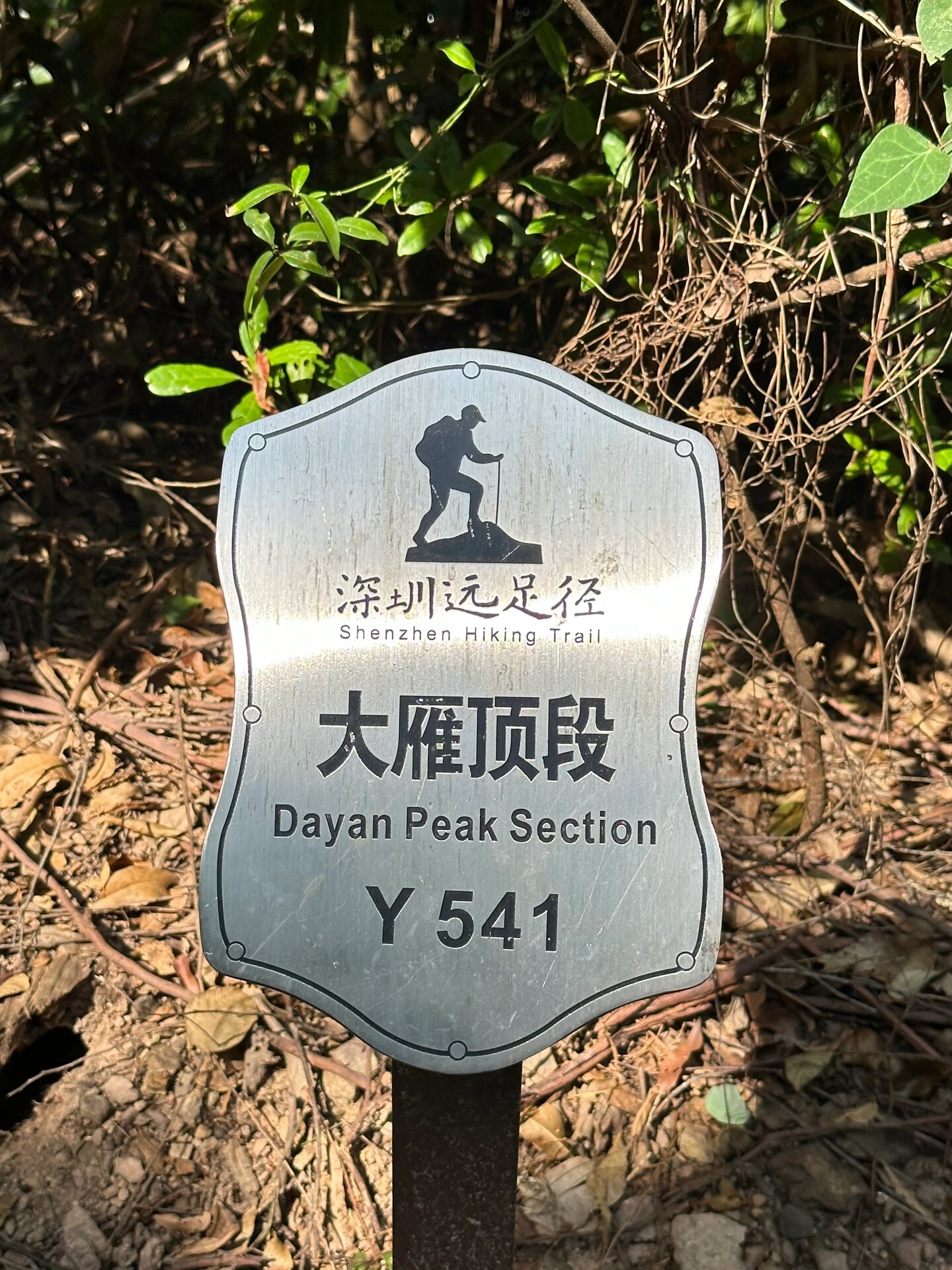 深圳爬山7015大雁顶