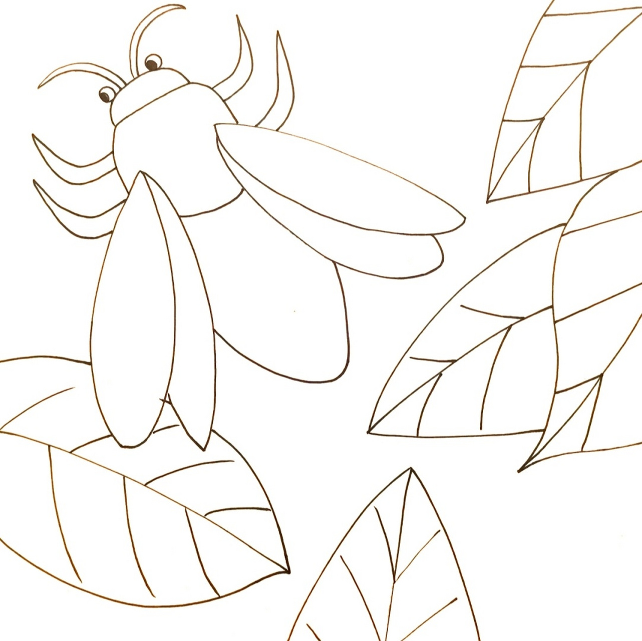 蝉-只活在夏天/:有线稿哦(29°3°29)难得捏 自从知道蝉只能活一