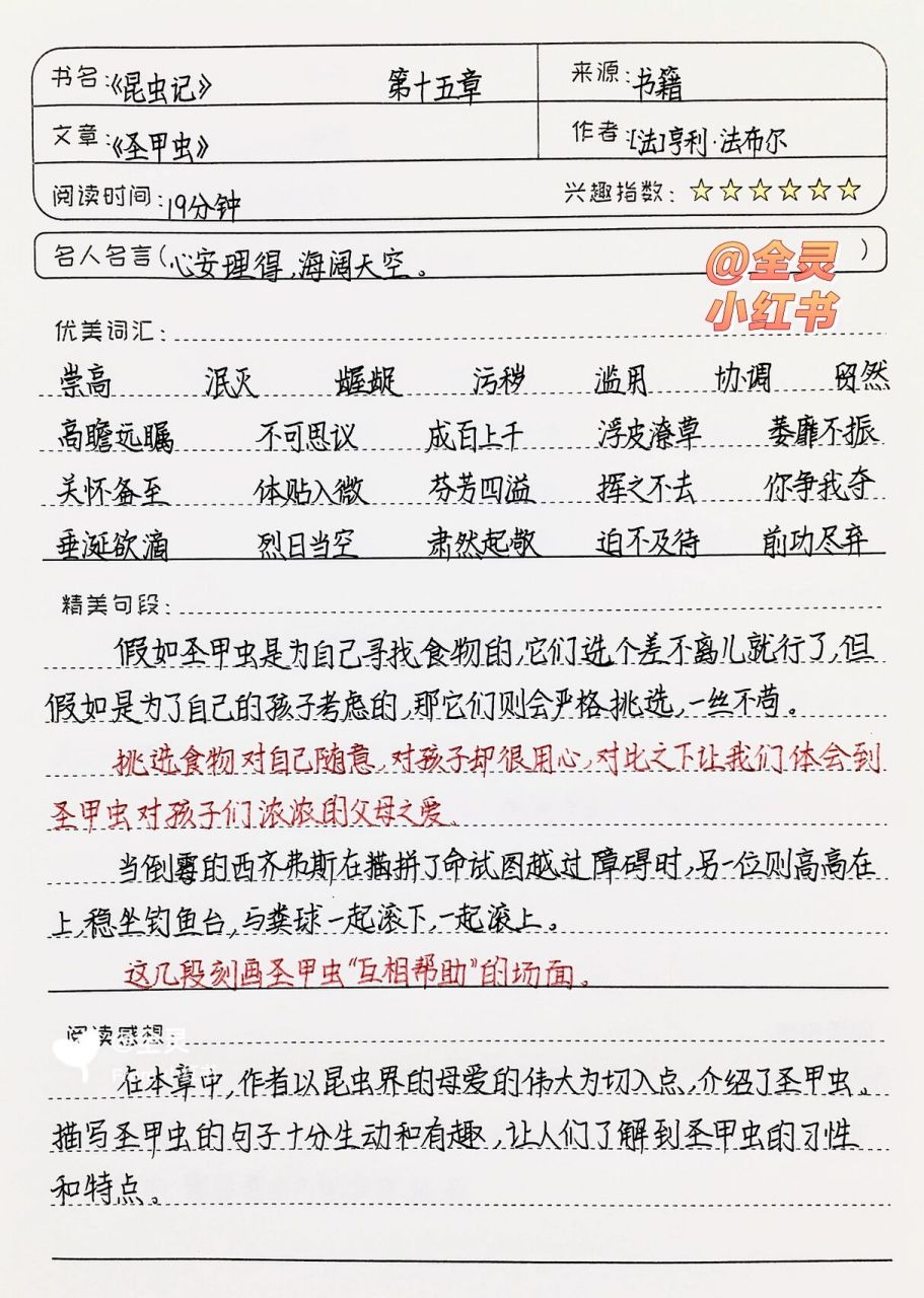 《昆虫记》读书笔记 | 第十五章《圣甲虫》 03全灵同款文具和图书