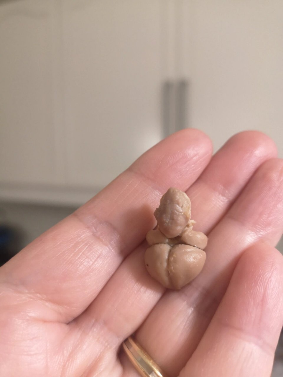 满江红里的秦桧在这里 好多人之前没看出来躲在鸡脑子里的秦桧,今天