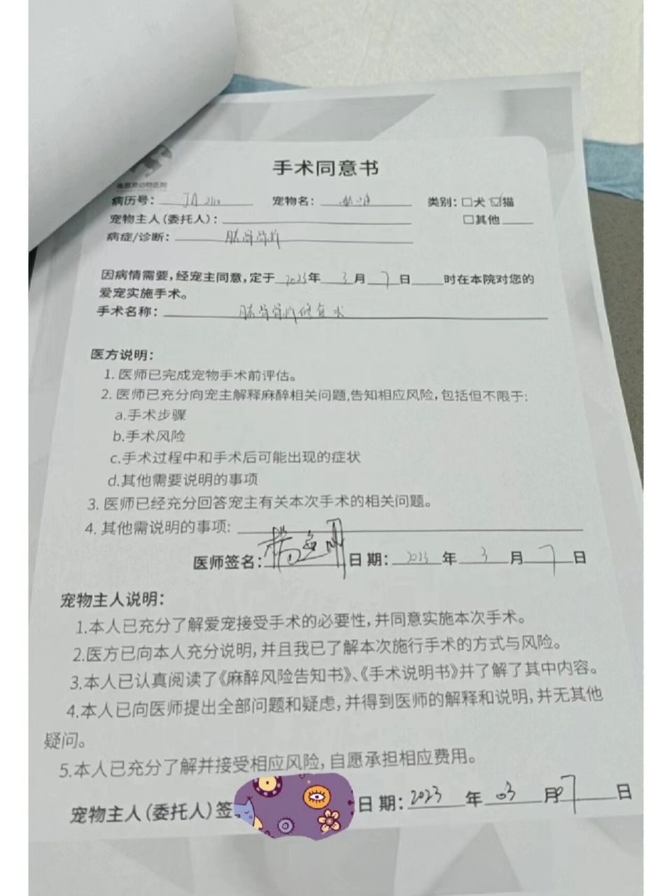 手术同意书 第一次签手术同意书居然是咪咪酱做手术