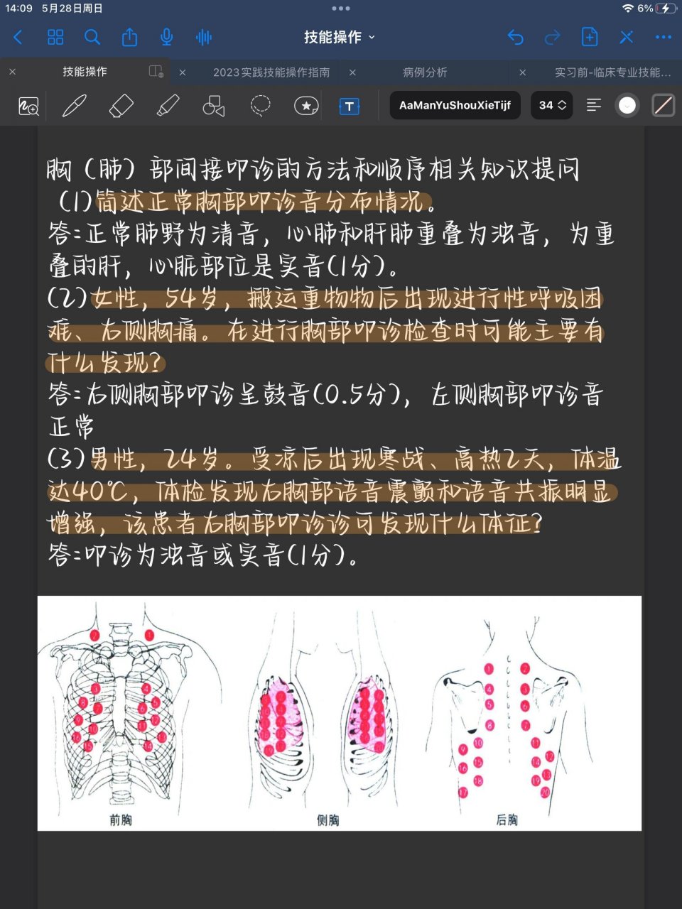平静呼吸时胸(肺)部间接叩诊检查的方法和顺序 肺上界叩诊 肺下界叩诊
