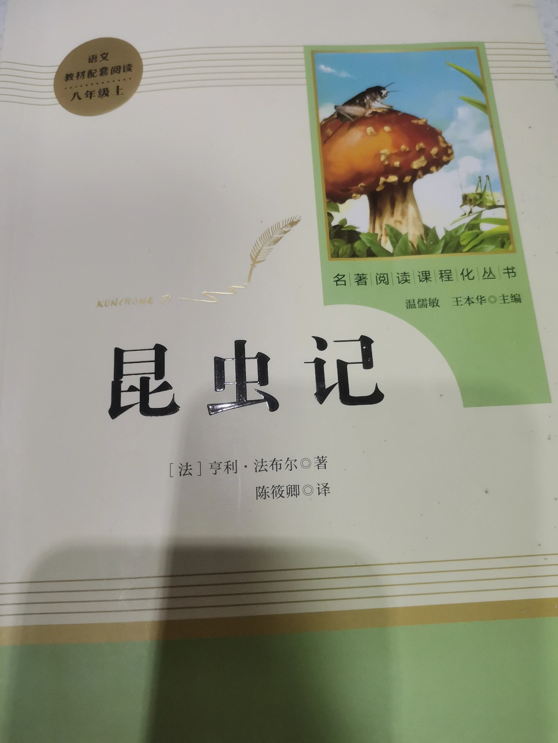 绿螽斯昆虫记图片