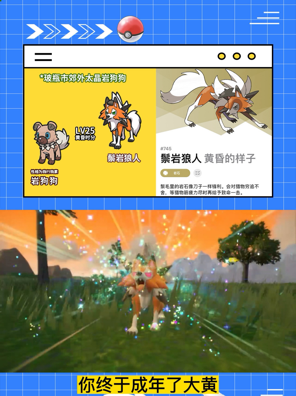 宝可梦岩狗狗进化黄昏鬃岩狼人
