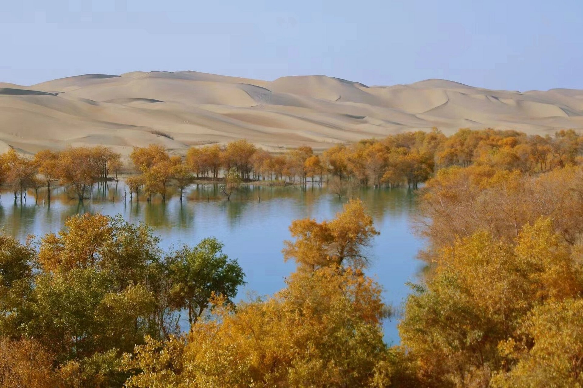 绝美葫芦岛 尉犁葫芦岛的胡杨林太美了.