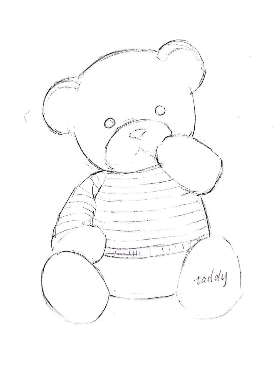 毛绒玩具熊(附步骤) #毛绒公仔# #速写写生