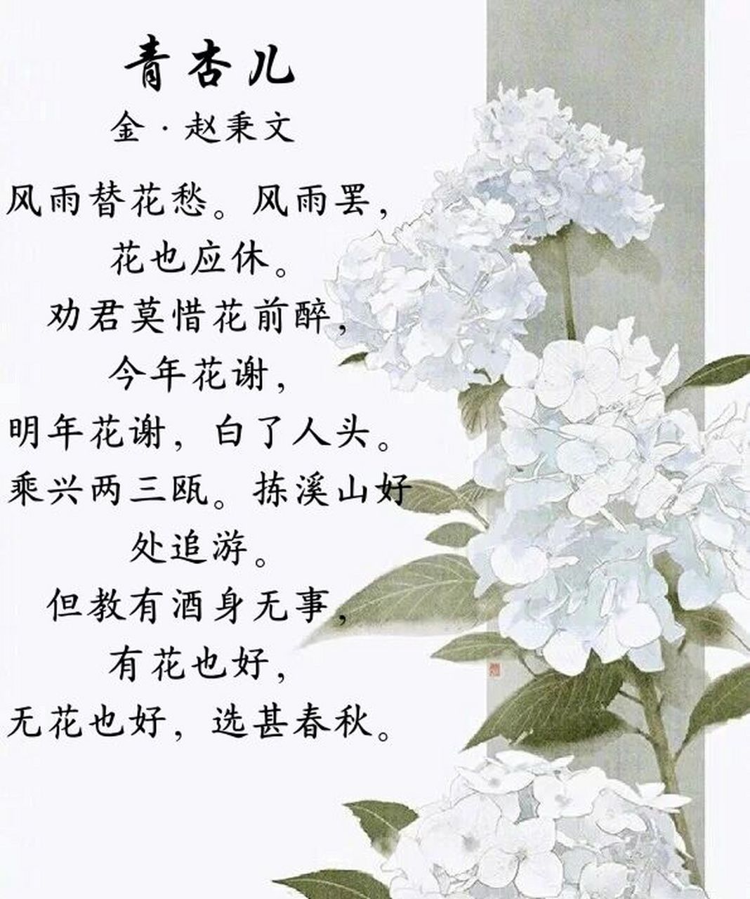诗词丨每日一首 《青杏儿·风雨替花愁》是金代赵秉文的作品.
