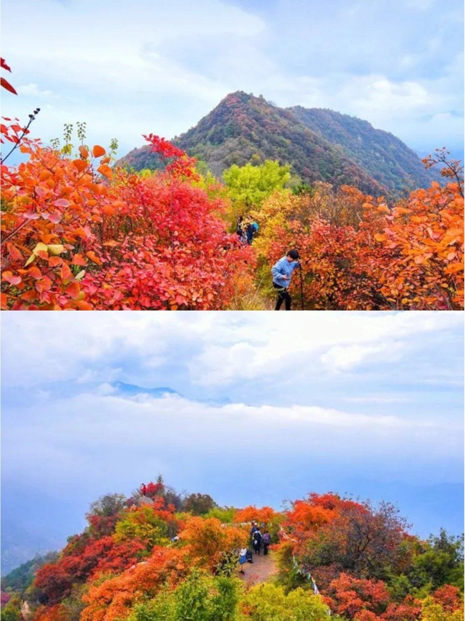 7815圭峰山位于西安户县太平乡,属于秦岭支脉,西邻黄柏峪,东邻