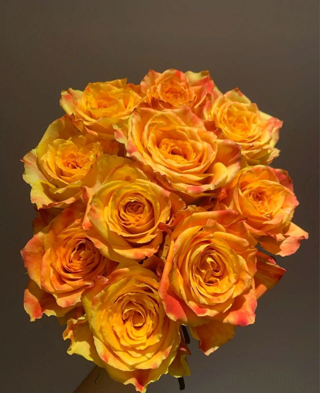 每天认识一种花--欢乐颂玫瑰 高端玫瑰欢乐颂 热情洋溢的颜色,是橙色