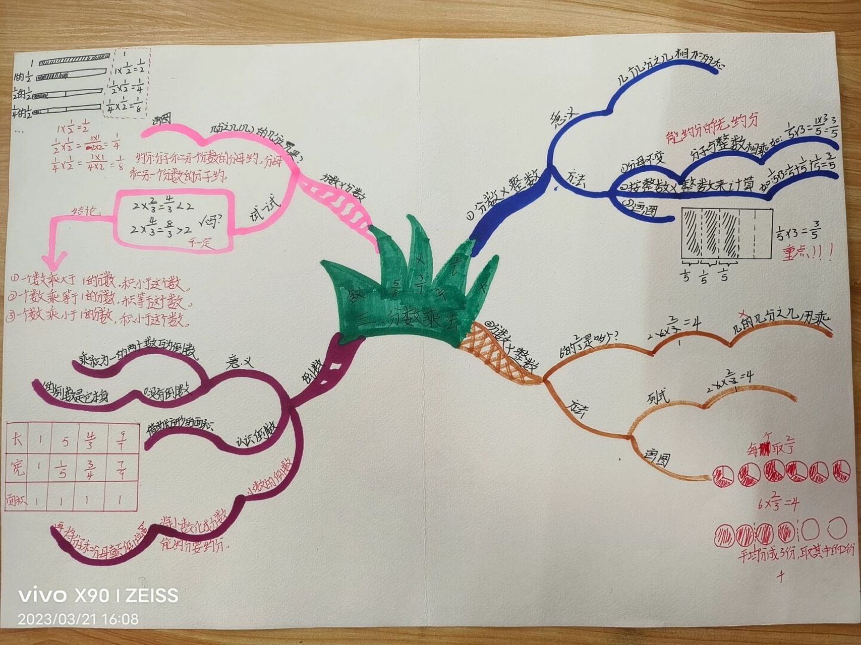 五年级下《分数乘法》单元思维导图#小学数学#数学思维导图#分数