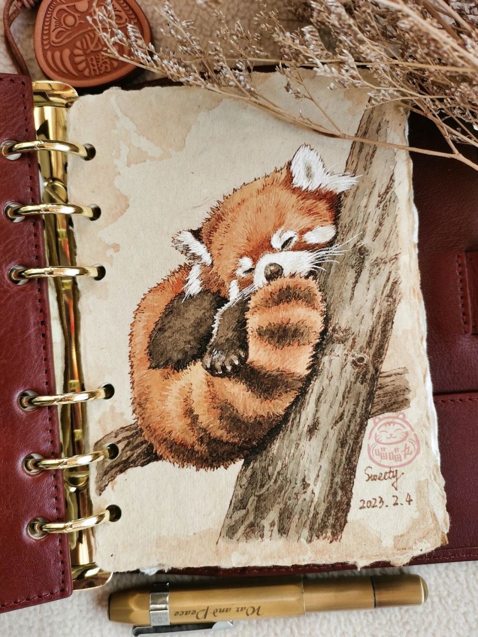 钢笔淡彩 | 小动物系列—小熊猫(附过程) 今天是元宵节,画个圆滚滚的