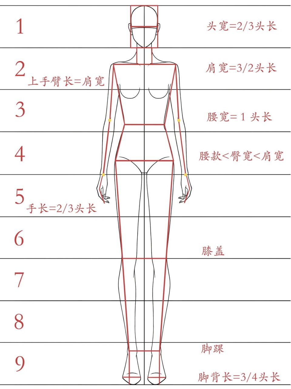 七头身人体画步骤图片