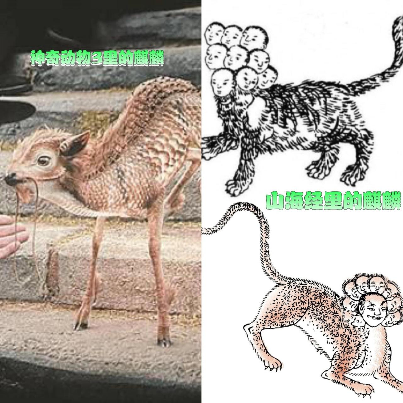 和孩子看电影|神奇动物3麒麟,原型太可怕 《神奇动物在哪里3》上映了