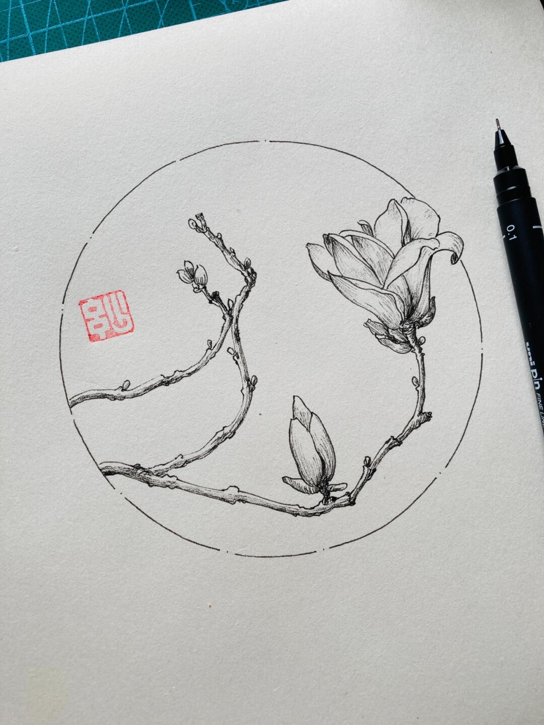 针管笔手绘 玉兰花 教程