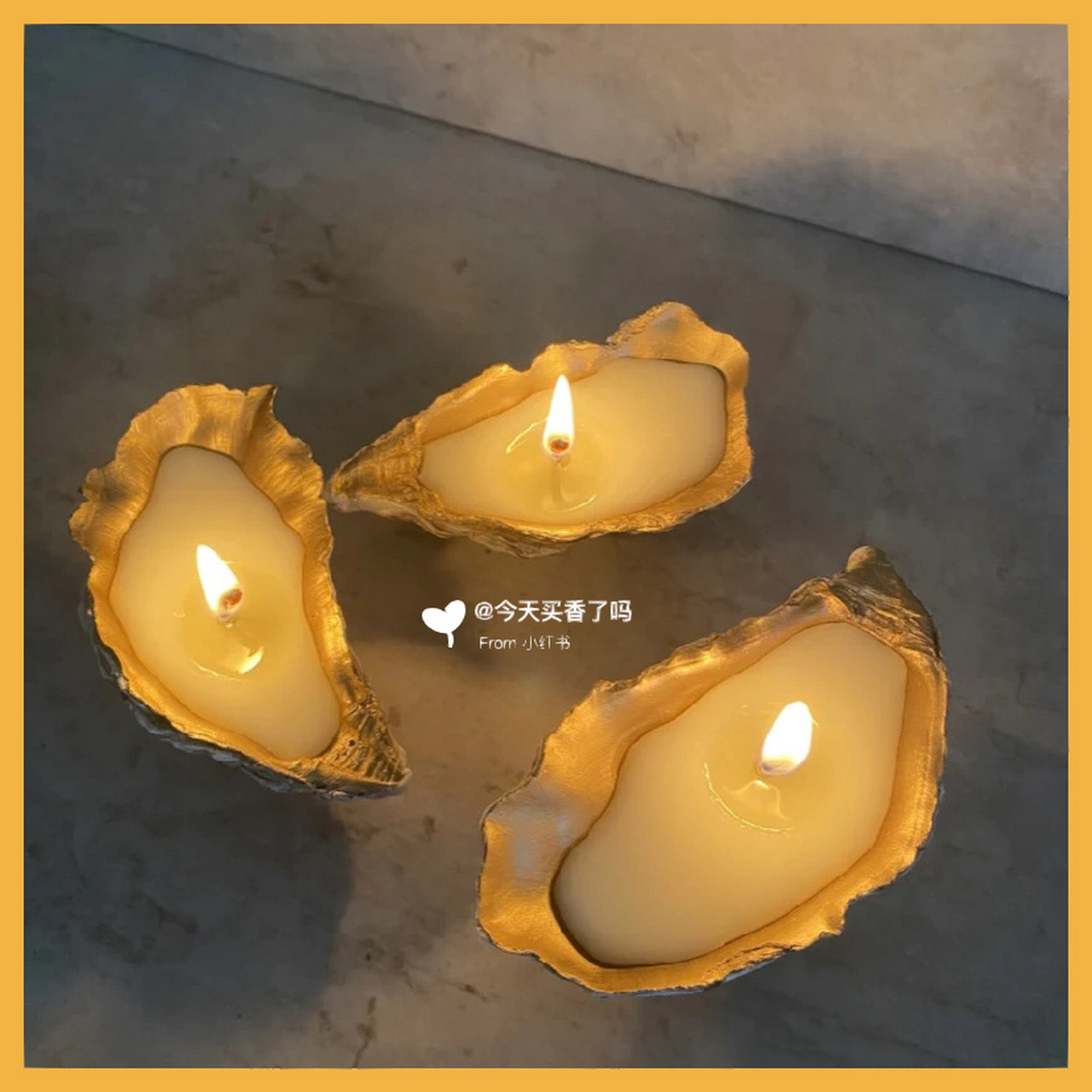 【新香速递】bubbles and lace-牡蛎壳蜡烛 bubbles and lace 2023