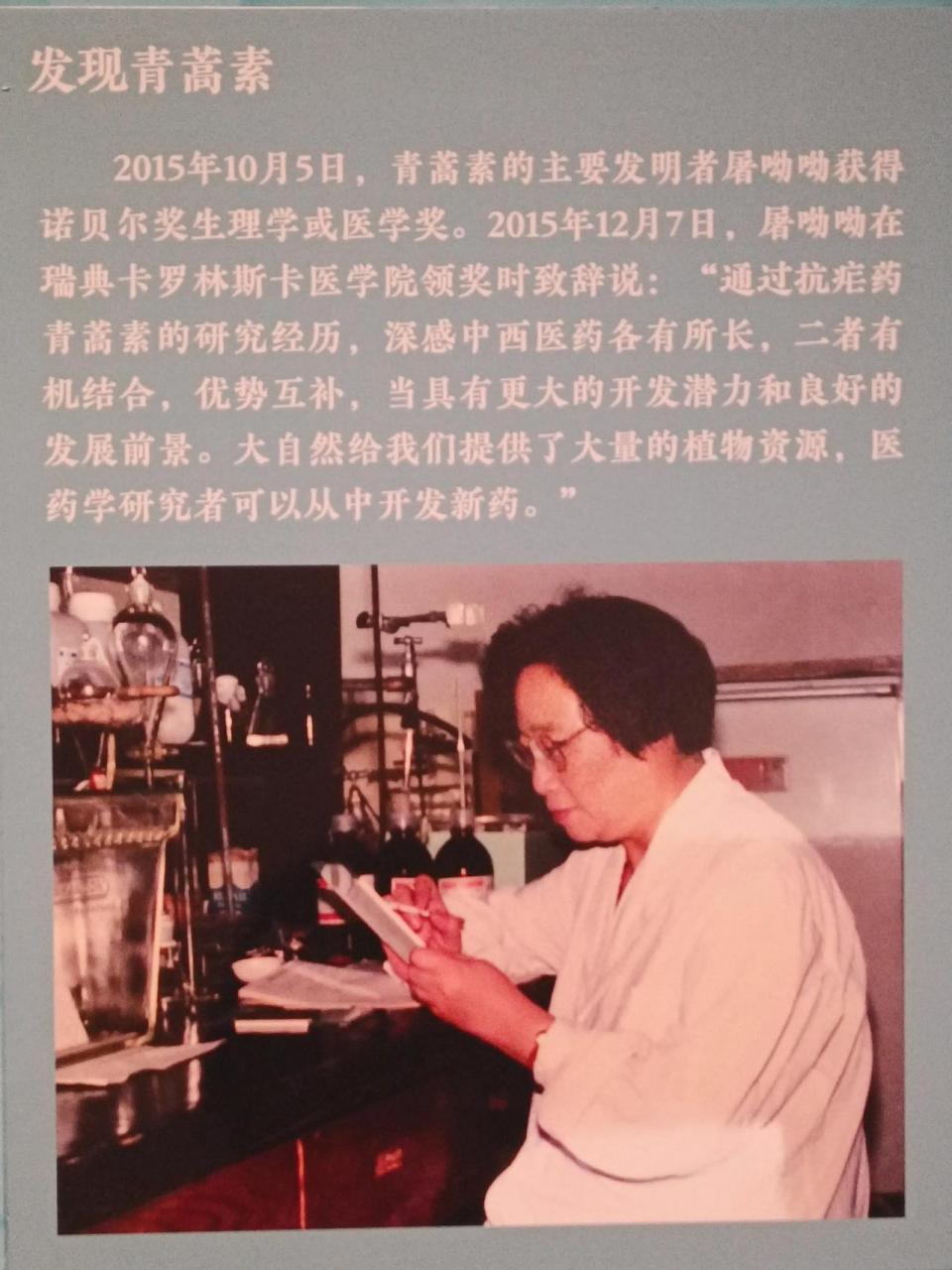 黄花蒿,拉丁名artemisia annua,"artemisia"源于古希腊神话中狩猎女神