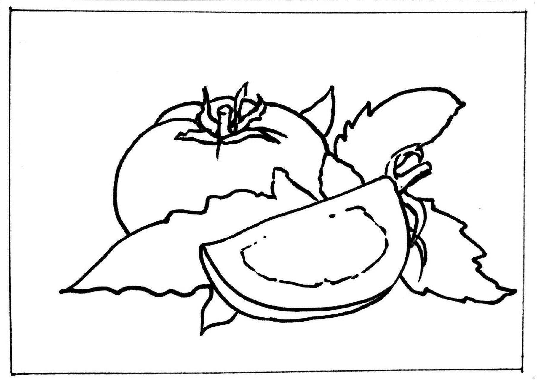 西红柿写生#蔬菜写生#黑白线描画#创意美术 《西红柿97写生》 屎舷