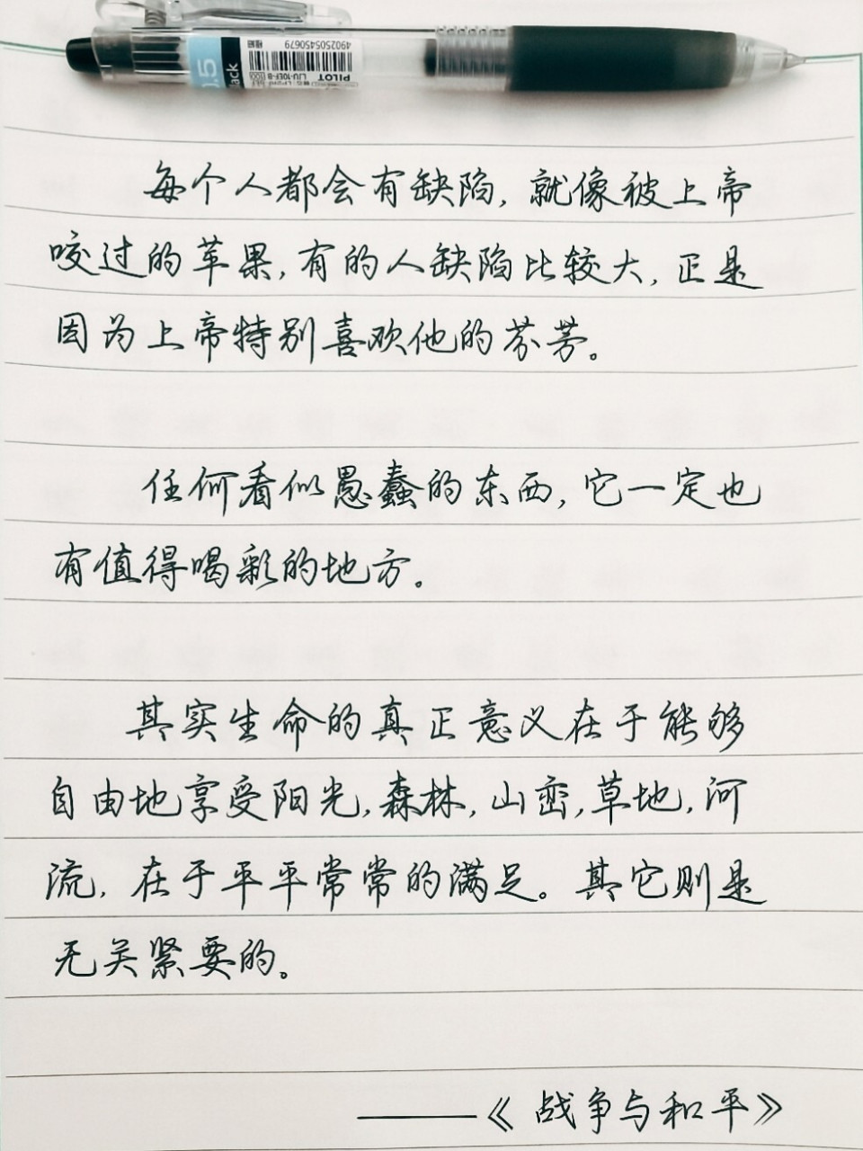 手写摘抄|《战争与和平》 166每个人都会有缺陷,就像上帝咬过的苹果