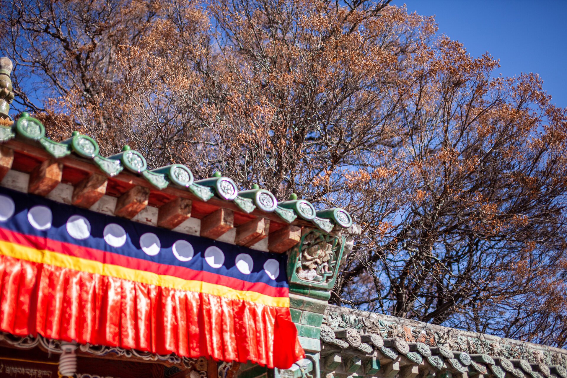 西宁 冬日塔尔寺游玩——中国十大寺庙之一 塔尔寺的面积非常大,寺内