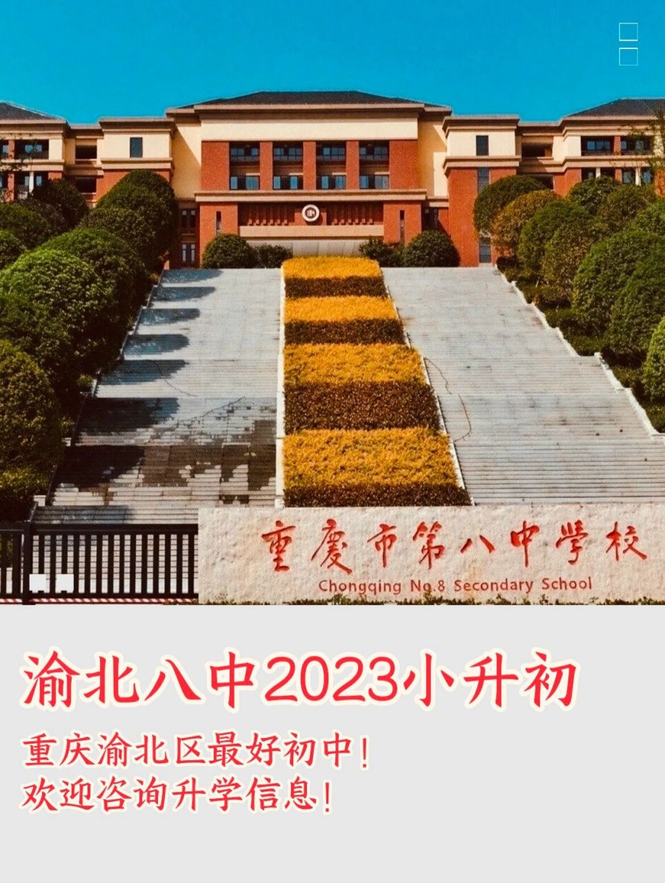 重庆八中沙坪坝校区图片