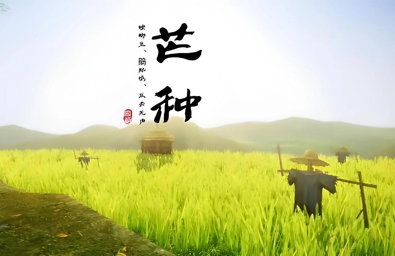 芒种又称"忙种",这是因为芒种时节标志着农事活动的繁忙开始