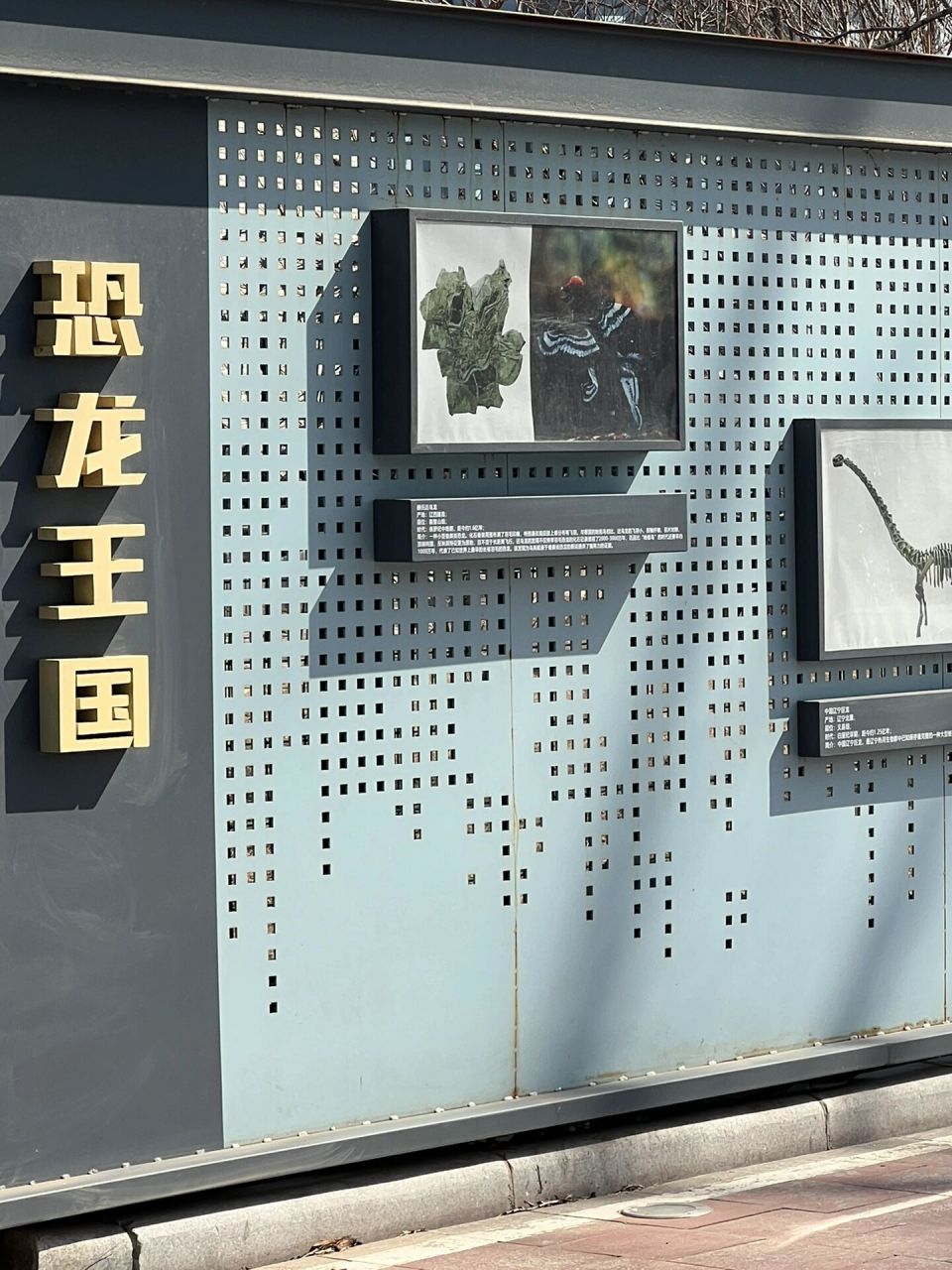 辽宁古生物博物馆 辽宁古生物博物馆