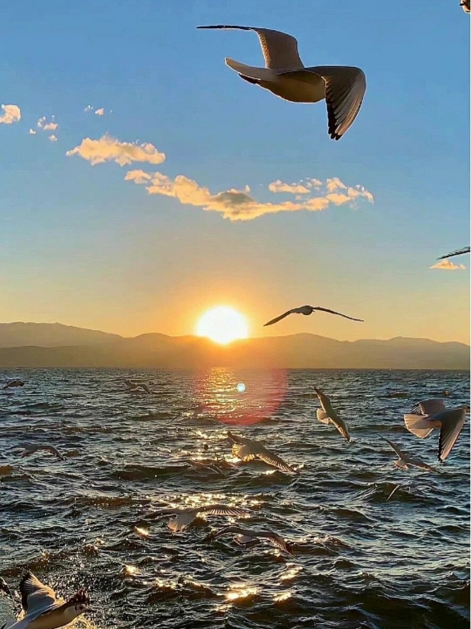 山海壁纸分享98